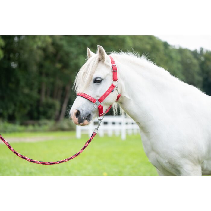 HKM Head Collar - Aymee